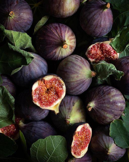 Berry Bonanza: Wild Orchard Picks
