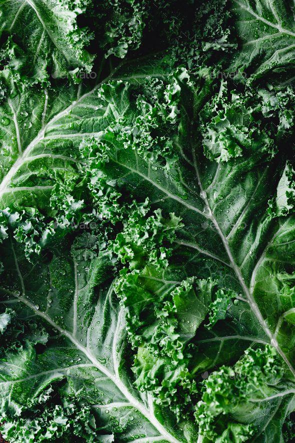 Verdant Bounty: Fresh Harvest Medley